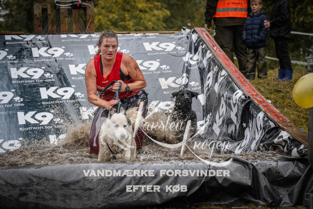 1103_ZZ91510 | kk-dogfotos