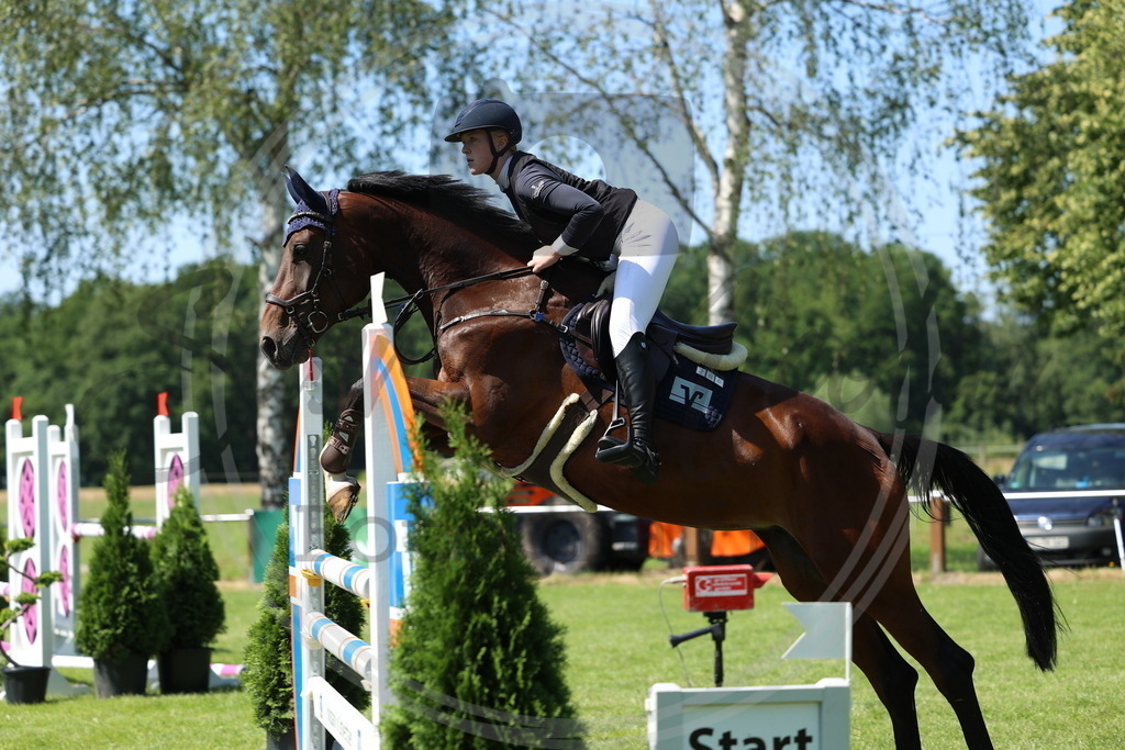 994A2861 | sabrinanicolaifotografie - Realisiert mit Pictrs.com