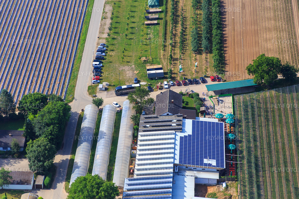 Luftbild: Zapf Hofmarkt in Kandel im Bundesland Rheinland-Pfalz in Deutschland. Foto: IMG_081027.jpg vom 14.06.2015 durch Werner Riehm/FLY-FOTO.deHofmarkt Zapf Kandel