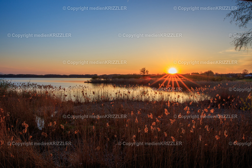 _07A7368 | medienkrizzler - Realisiert mit Pictrs.com