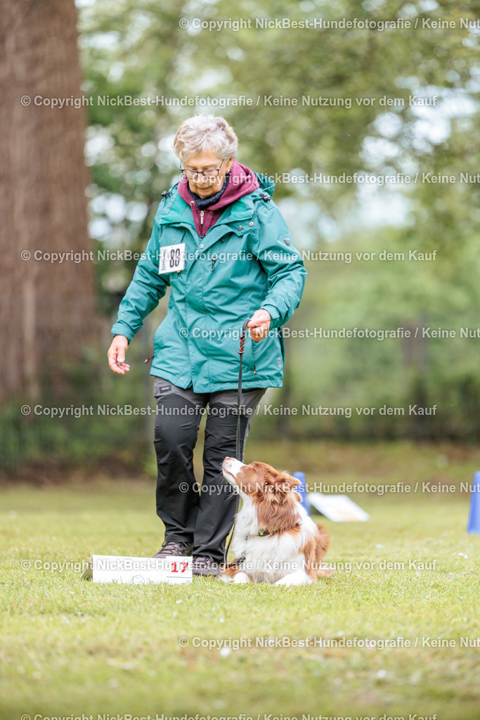 RO-Blumenthal-2026-Nickbest-Hundefotografie-5605 | Dein Hund! Dein Moment! Deine Erinnerungen! Hundefotografie in Bremen Blumenthal. Ich fange die besonderen Momente deines Vierbeiners ein – ob Indoor mit Blitzanlage oder in der freien Natur. Sicher dir dein Moment und dein Termin für eure Erinnerungen.