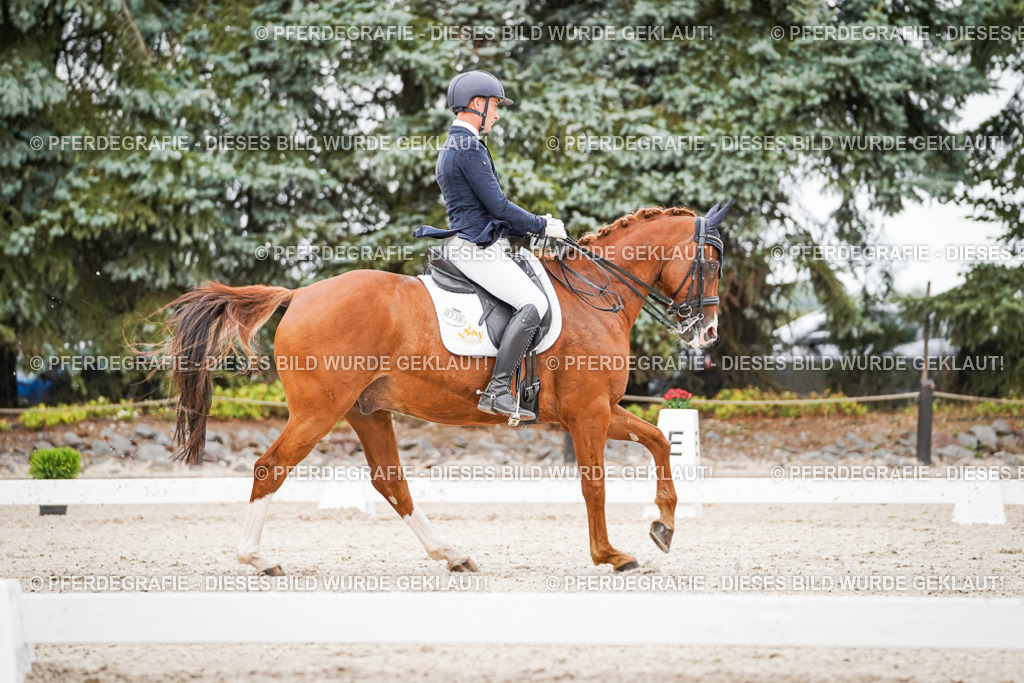 DSC08470 | Pferdegrafie