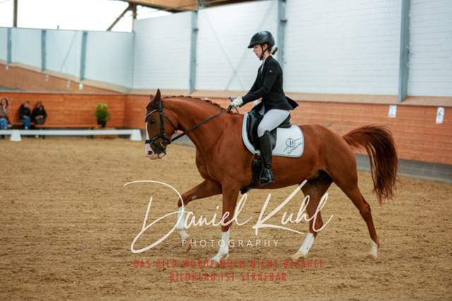 _62_5465 | Turniersportfotografie; Pferdefotografie; Dressurfotografie