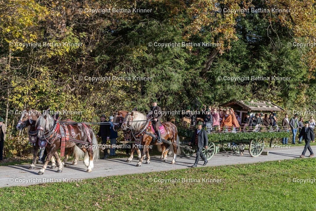 LBT24-369 | foto-bettina-krinner - Realisiert mit Pictrs.com