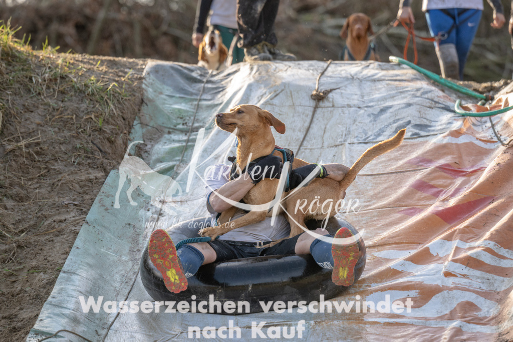 1635_ZZ92813 | kk-dogfotos