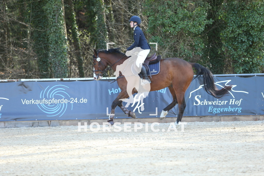 DL2Q3969 | Willkommen bei Brunnmayr - Design & Fotografie – Ihrem Spezialisten für Reitturniere und Pferdeveranstaltungen in Oberösterreich, Salzburg und Bayern! Seit über 17 Jahren sind wir leidenschaftlich dabei.