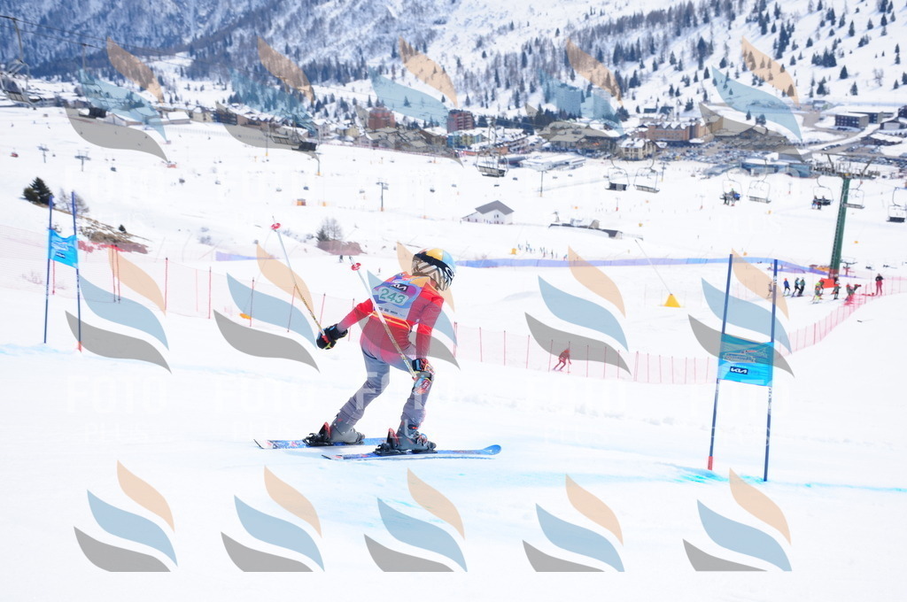 DSC_2282 | holidayphoto