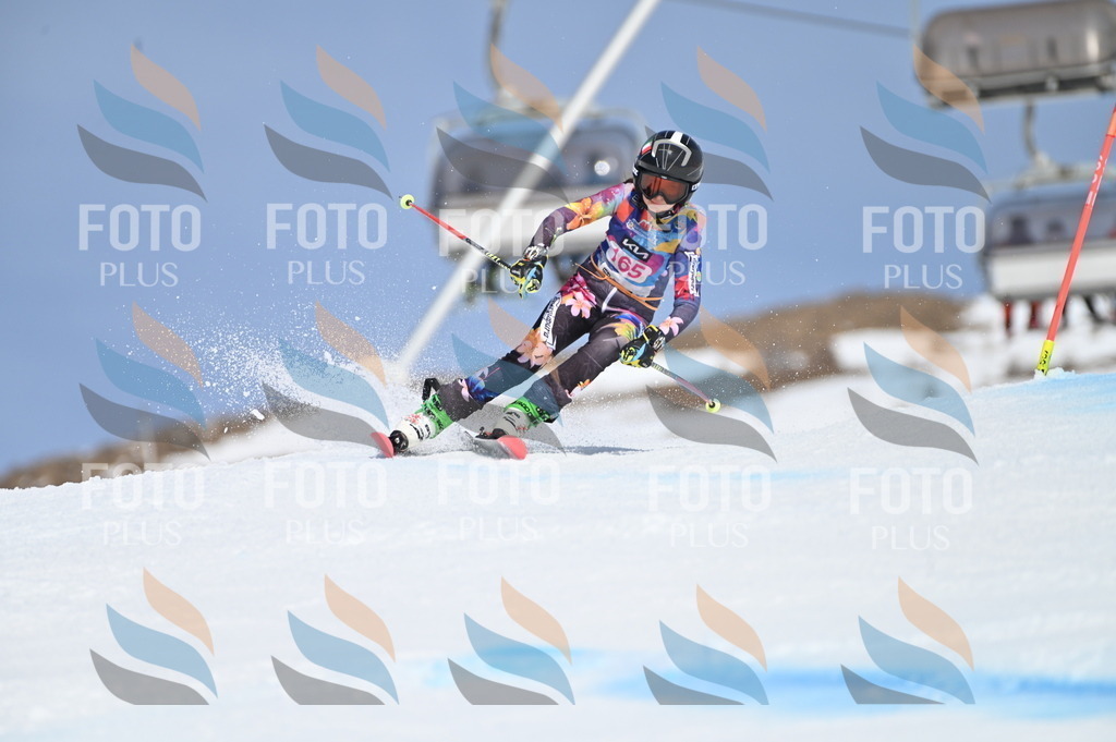 BGV_0350 | holidayphoto