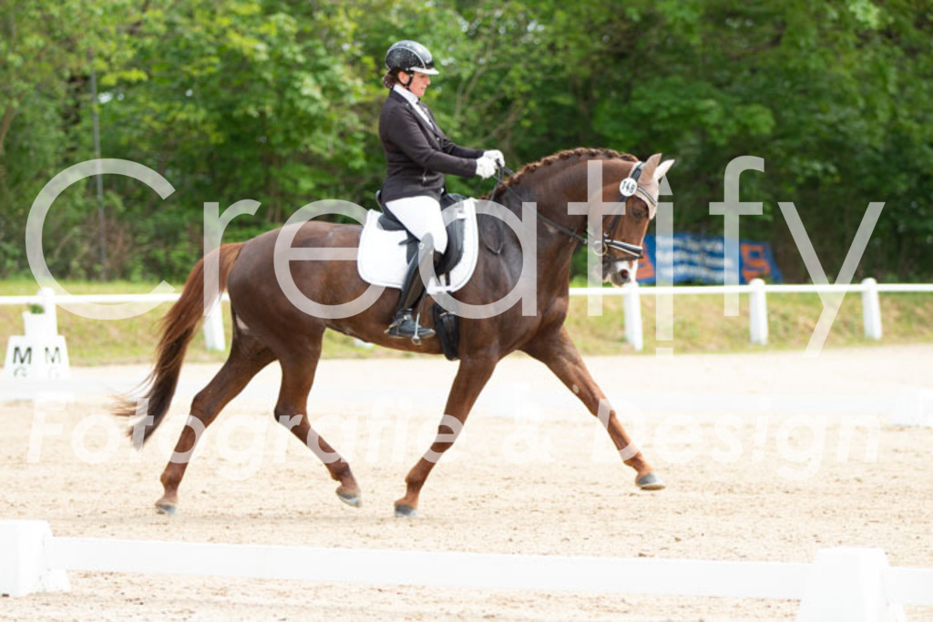 IMG_0913 | Creatify Fotografie