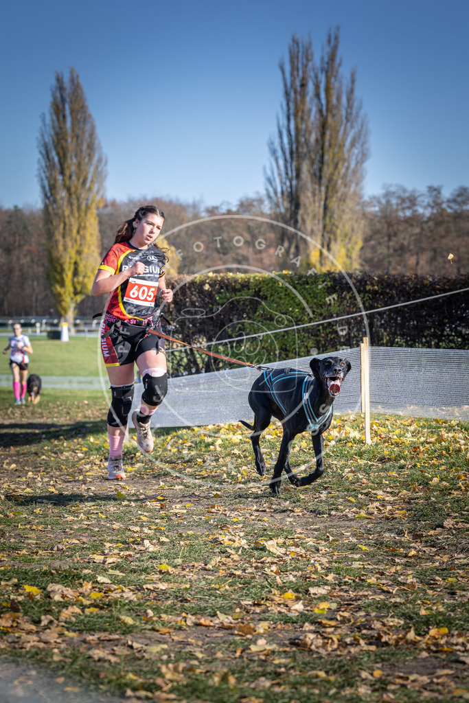 CaniXpix_DV3A9619 | Hundefotografie, Tierfotograf, Pfotenfotografie, Fotoshooting Hund, Hunde Portrait, Hundesport, Hundeportraits, Heideshooting, Hunde, Sportfotograf, Hundefotograf, Turnierhundsport, THS,  - Realisiert mit Pictrs.com