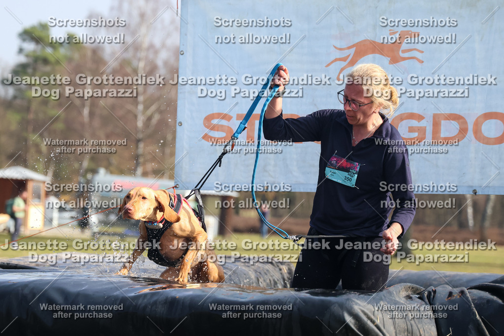 Dog Paparazzi - Strongdog North Mrz26-1708 | Dog Paparazzi Jeanette Grottendiek Fotografie & Videografie - Realisiert mit Pictrs.com