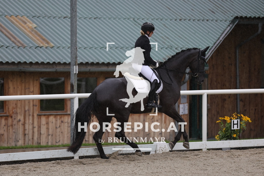 0P6A0463 | Willkommen bei Brunnmayr - Design & Fotografie – Ihrem Spezialisten für Reitturniere und Pferdeveranstaltungen in Oberösterreich, Salzburg und Bayern! Seit über 17 Jahren sind wir leidenschaftlich dabei.