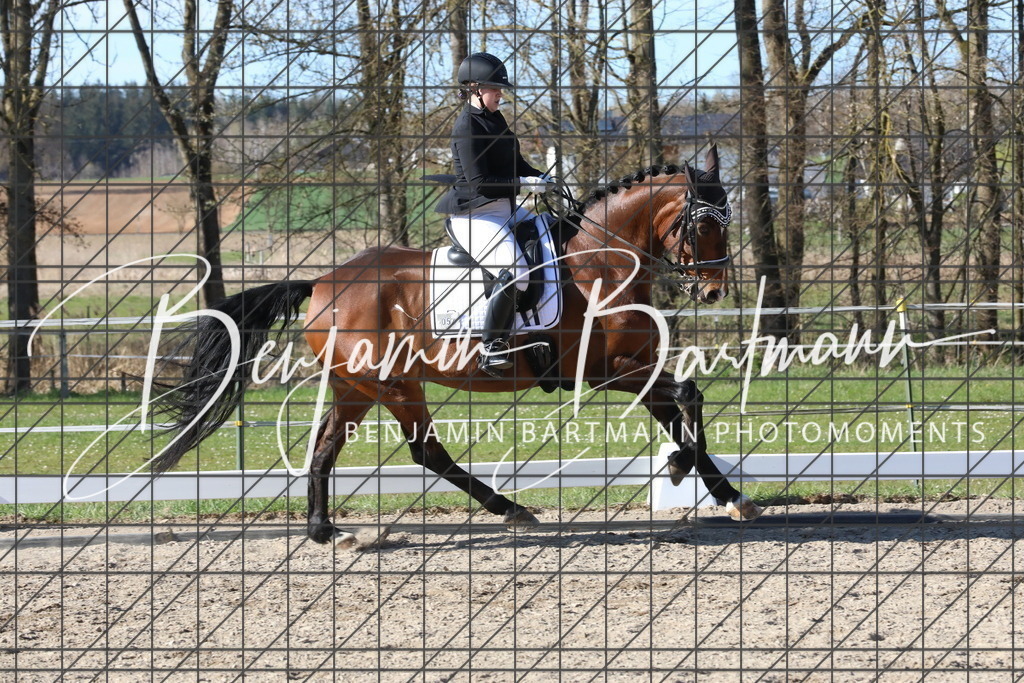 AZ2A5318 | Benjamin Bartmann Photomoments