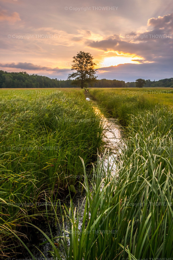 _2890944 | thowehey - Realisiert mit Pictrs.com