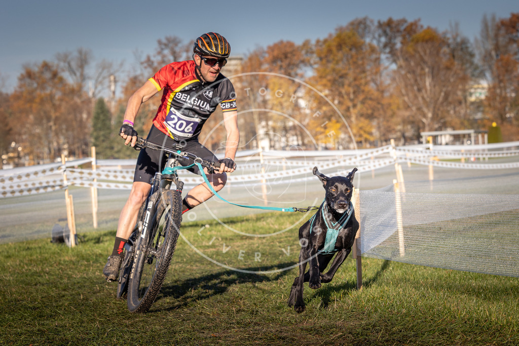 CaniXpix_0L8A4497 | Hundefotografie, Tierfotograf, Pfotenfotografie, Fotoshooting Hund, Hunde Portrait, Hundesport, Hundeportraits, Heideshooting, Hunde, Sportfotograf, Hundefotograf, Turnierhundsport, THS,  - Realisiert mit Pictrs.com