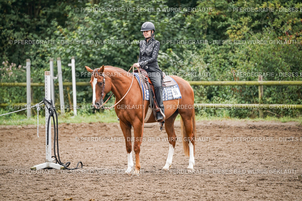 DSC02379 | Pferdegrafie