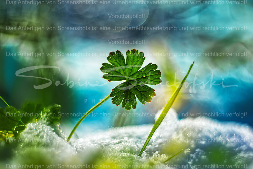 Im Wandel | People- und Tierfotografie, Imageaufnahmen, Veranstaltungsfotografie und Wandbilder aus der Natur ★ Made in Germany ✔️ Druck + Downloads ✔️ Naturfotografie in Top Qualität ★ schneller Versand, weltweite Lieferung! - Realisiert mit Pictrs.com