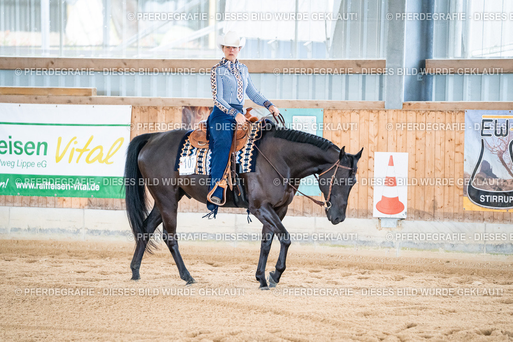 DSC01942 | Pferdegrafie