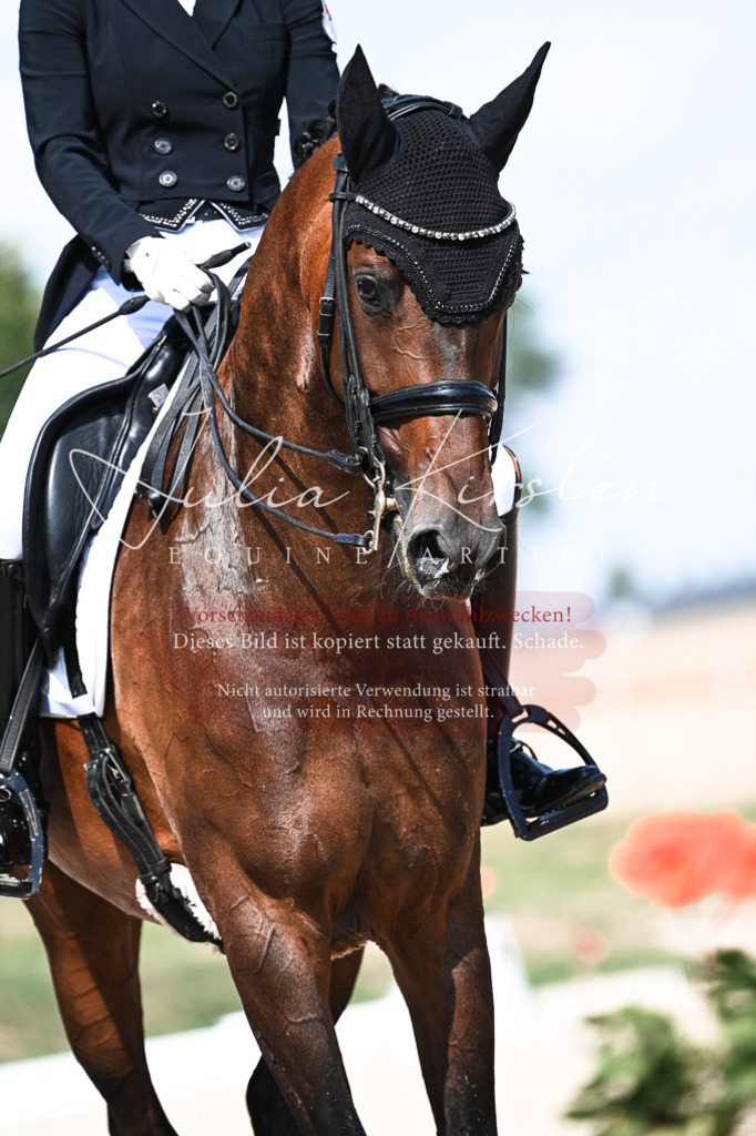 DSC_3072 | Pferde- und Turnierfotografie in Westsachsen. Pferdeportraits, Auftragszeichnungen und intuitive Kunst.