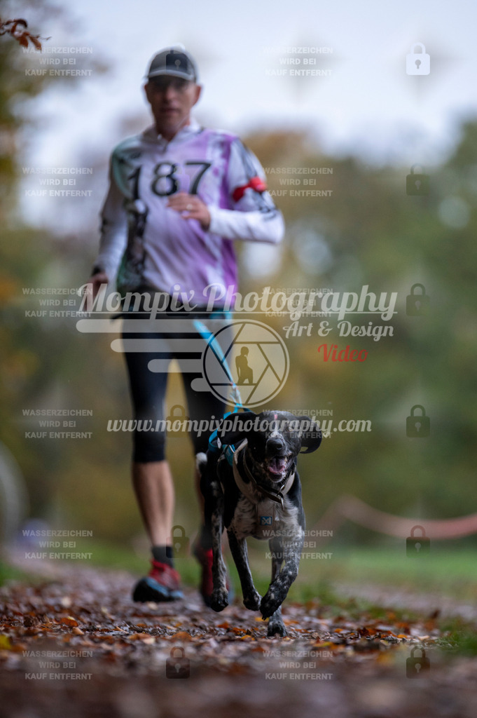 DBT_DAKM_SA_4_11_2023_Canicross-86 | PayLife