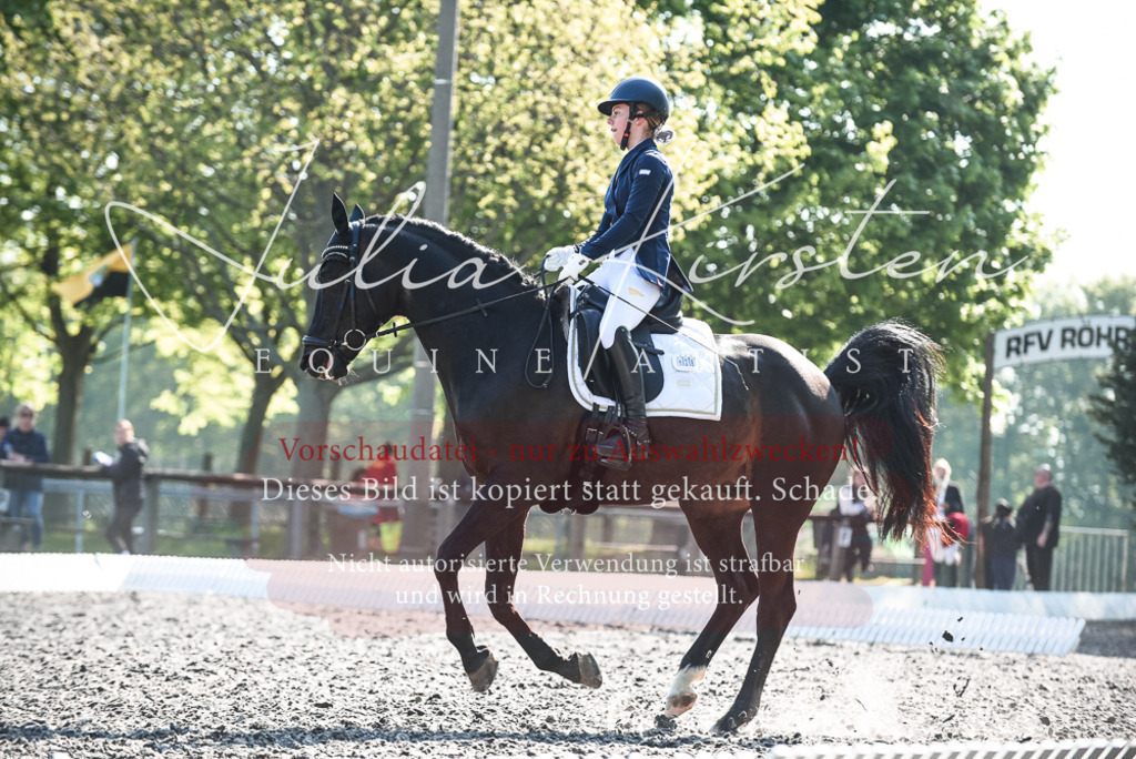 DSC_8593 | Pferde- und Turnierfotografie in Westsachsen. Pferdeportraits, Auftragszeichnungen und intuitive Kunst.