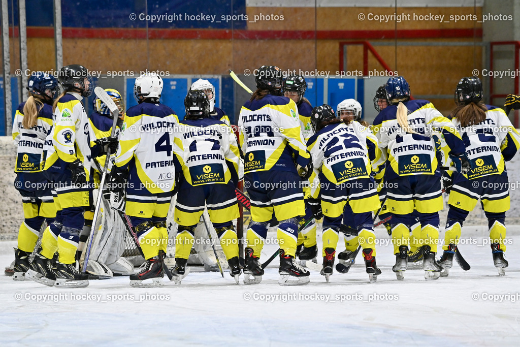 Wildcats Paternion vs. Lady Hawks  | Wildcats Paternion Mannschaft, Wildcats Paternion vs. Lady Hawks , Wildcats Paternion vs. Lady Hawks  am 27.01.2025 in Spittal an der Drau (Eissportzentrum Spittal), Austria, (Photo by Bernd Stefan)
