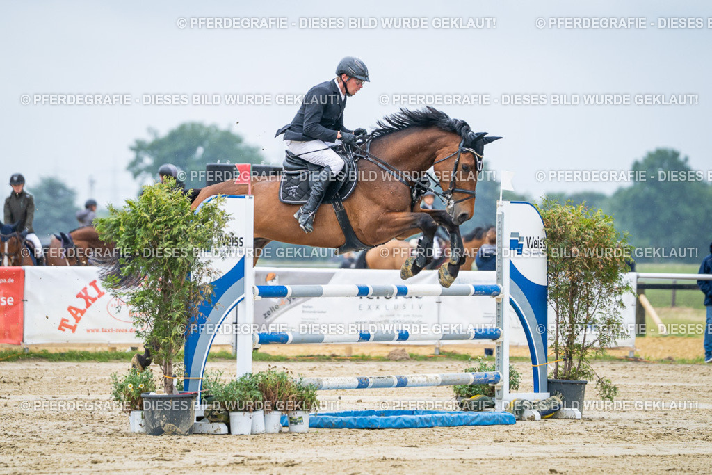 DSC01795 | Pferdegrafie