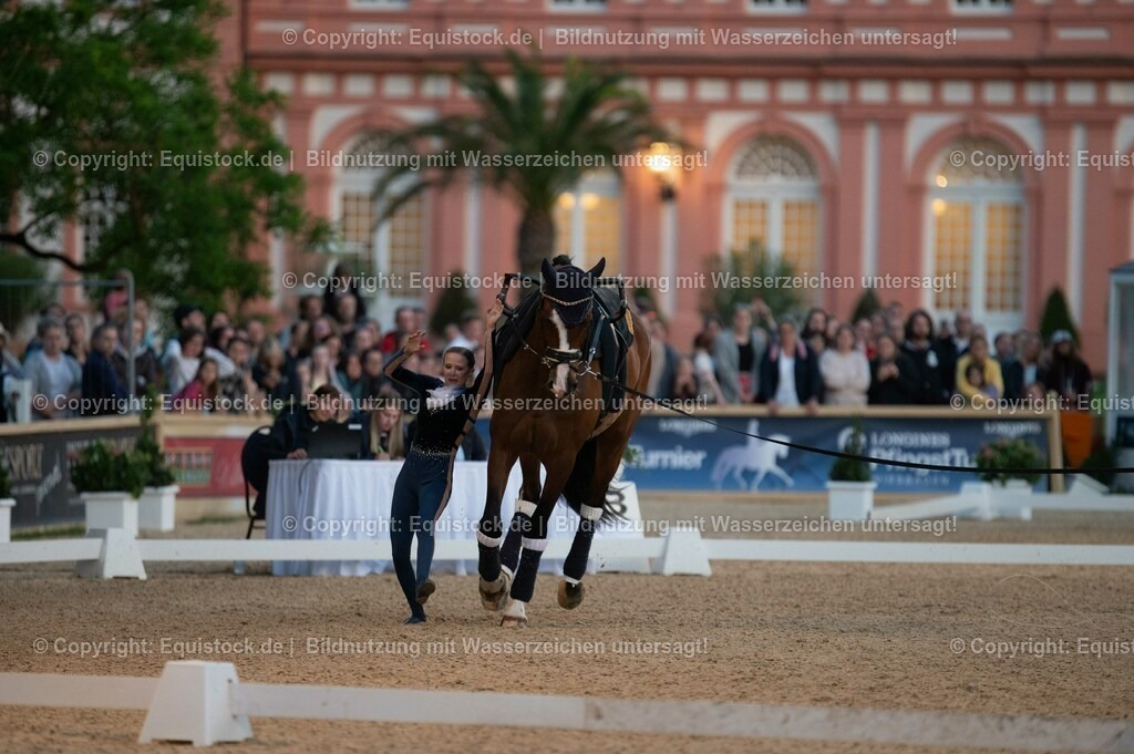 20230527_Voltigieren_NASPA_Flutlicht_0315 | equistock