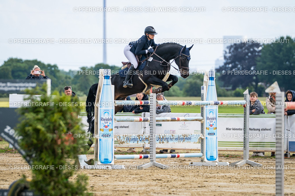 DSC06870 | Pferdegrafie