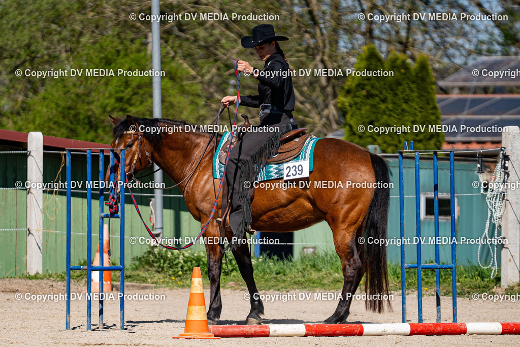 Balingen Tag 1-967 | dv-media-shop - Realisiert mit Pictrs.com