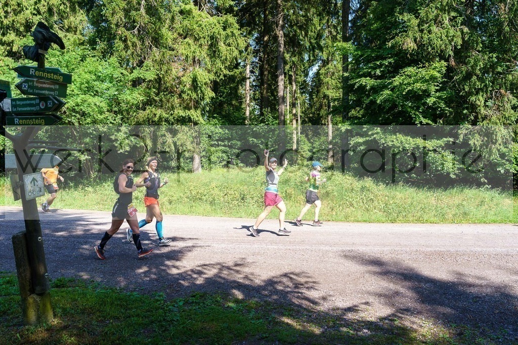 Schneekopflauf 2023 | Am 1. Juli 2023 startete der 20. Schneekopflauf von Schmiedefeld zum Schneekopf.