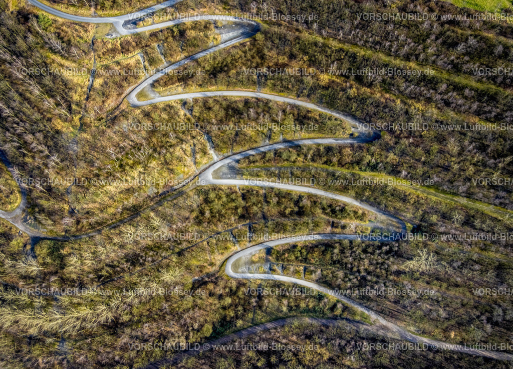 Bottrop250202430Mitte | Luftbild, Halde Beckstraße und serpentinenförmiger Wanderweg im Wald zum Tetraeder, Batenbrock-Nord, Bottrop, Ruhrgebiet, Nordrhein-Westfalen, Deutschland