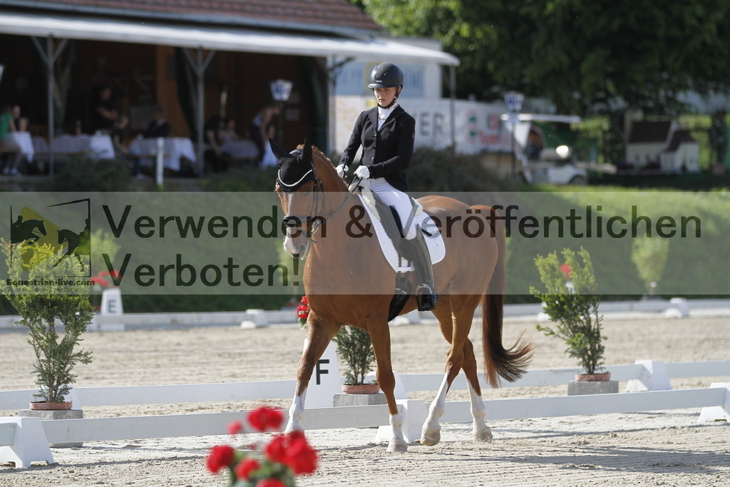 _MG_5783 | equestrian-live-com