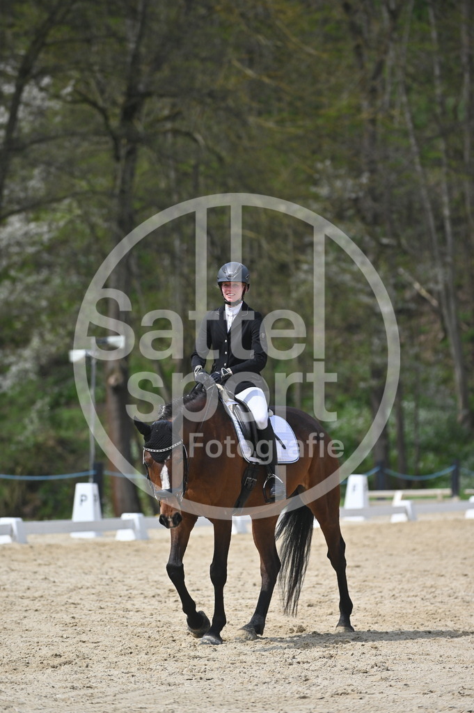 DSC_3240 | sattelsport - Realisiert mit Pictrs.com