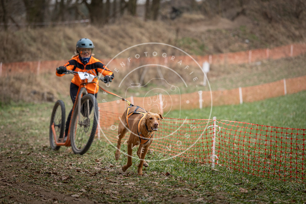Pfotenfotografie_DV3A0444 | Hundefotografie, Tierfotograf, Pfotenfotografie, Fotoshooting Hund, Hunde Portrait, Hundesport, Hundeportraits, Heideshooting, Hunde, Sportfotograf, Hundefotograf, Turnierhundsport, THS,  - Realisiert mit Pictrs.com