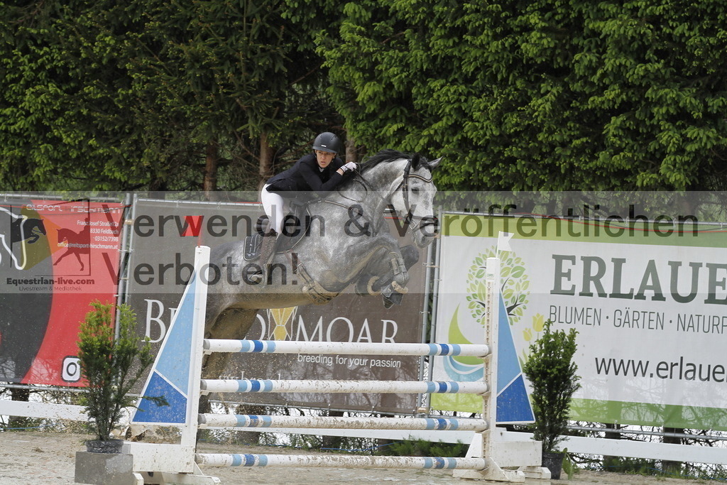 _MG_1213 | equestrian-live-com