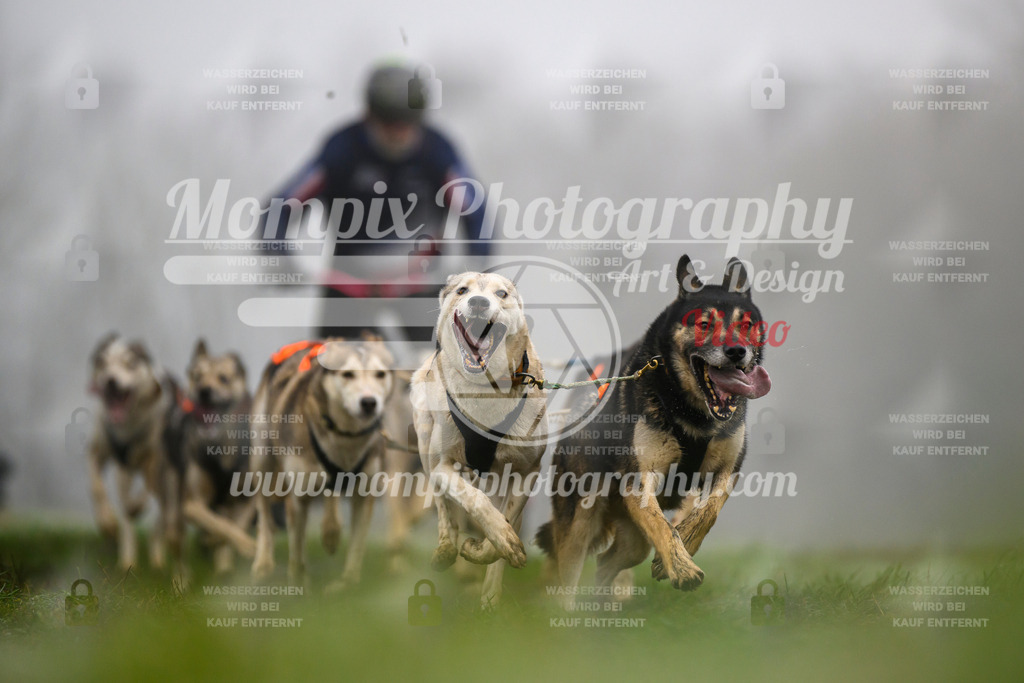 MompixPhotography_CDF2023_FFST_Di_Kart-86 | PayLife