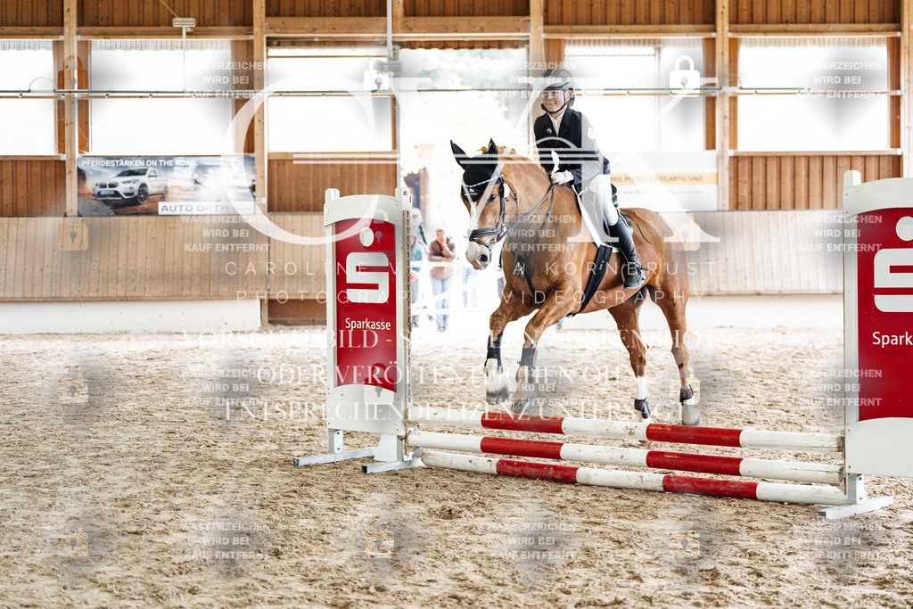 CK902529 | Turnierfotografie Pferdefotografie Trier Rheinland-Pfalz Pferdesport Reitsport Tierfotografie Sportfotografie Pferdevideo Pferdevideografie Equestrianvideography equestrianphotography  - Realisiert mit Pictrs.com