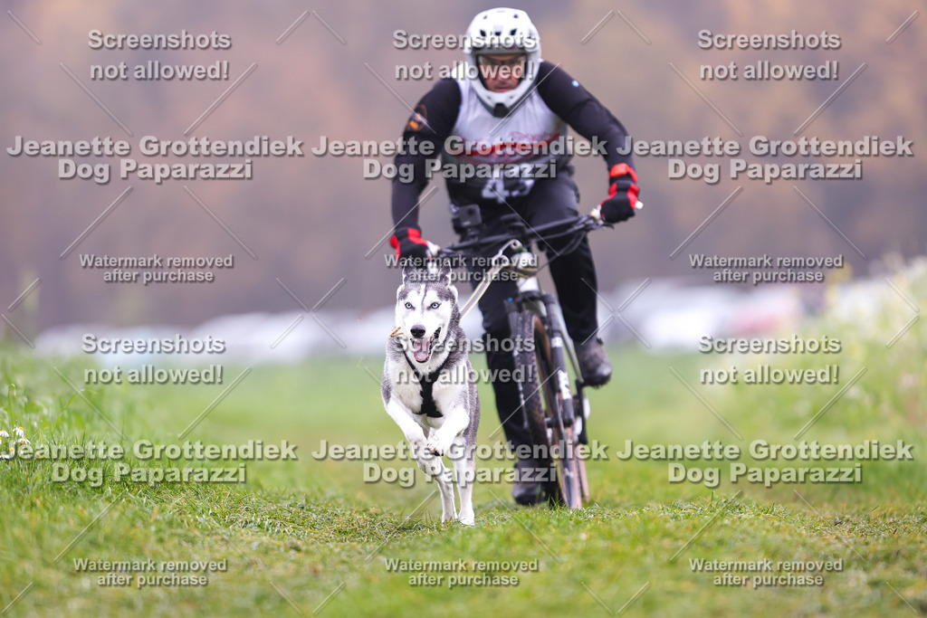 Dog Paparazzi - Visbeck 25 -195 | Dog Paparazzi Jeanette Grottendiek Fotografie & Videografie - Realisiert mit Pictrs.com