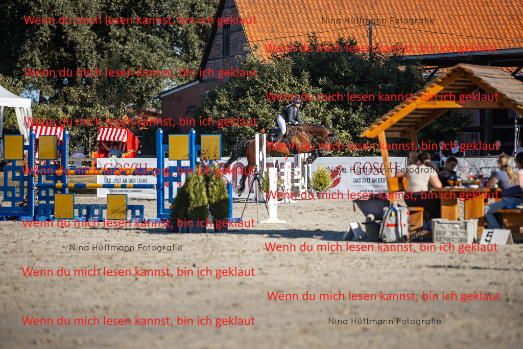 BK1A7819 | Turnierbilder Turnierfotos Nina Hüffmann Turnierfotografie Pferdefotografie Tierzeichnung Haustierzeichnung Pferdezeichnung Hundezeichnung Videograf  - Realisiert mit Pictrs.com