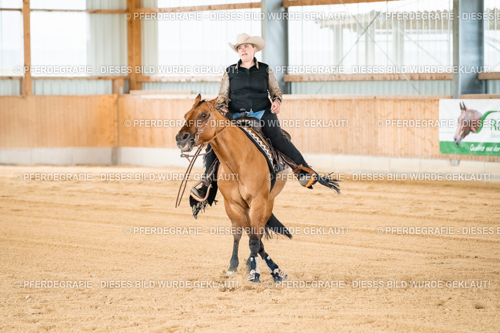 DSC03007 | Pferdegrafie