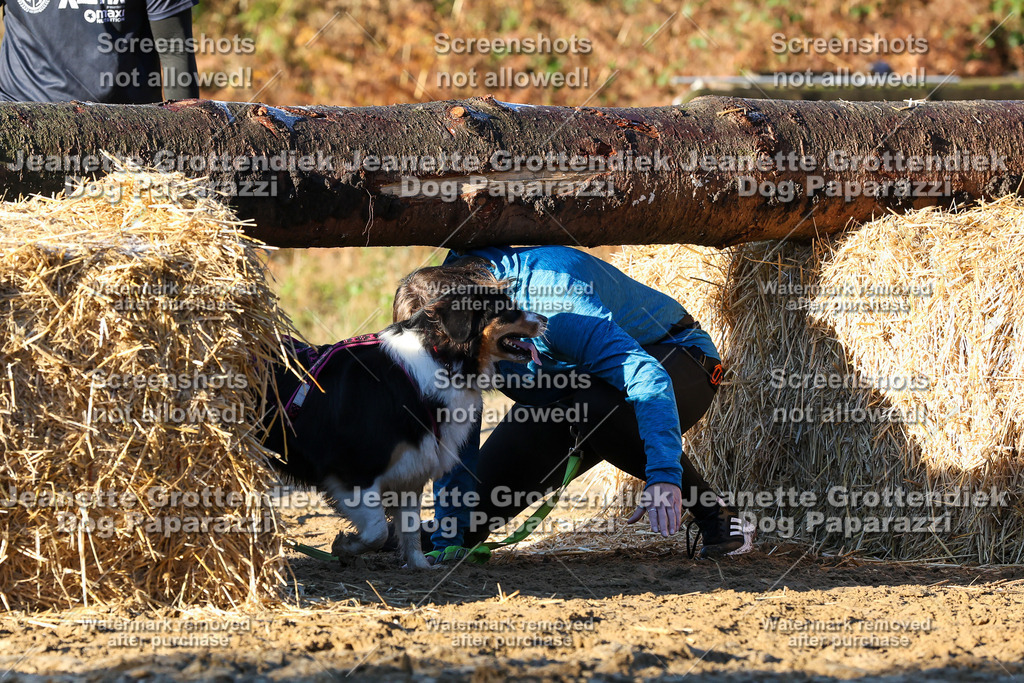 Dog Paparazzi - Strongdog 10-25-946 | Dog Paparazzi Jeanette Grottendiek Fotografie & Videografie - Realisiert mit Pictrs.com