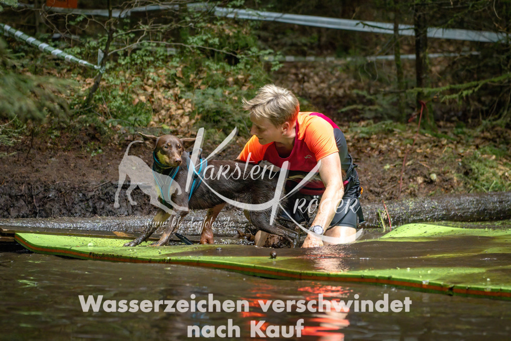 1539_ZZ91663-Bearbeitet | kk-dogfotos
