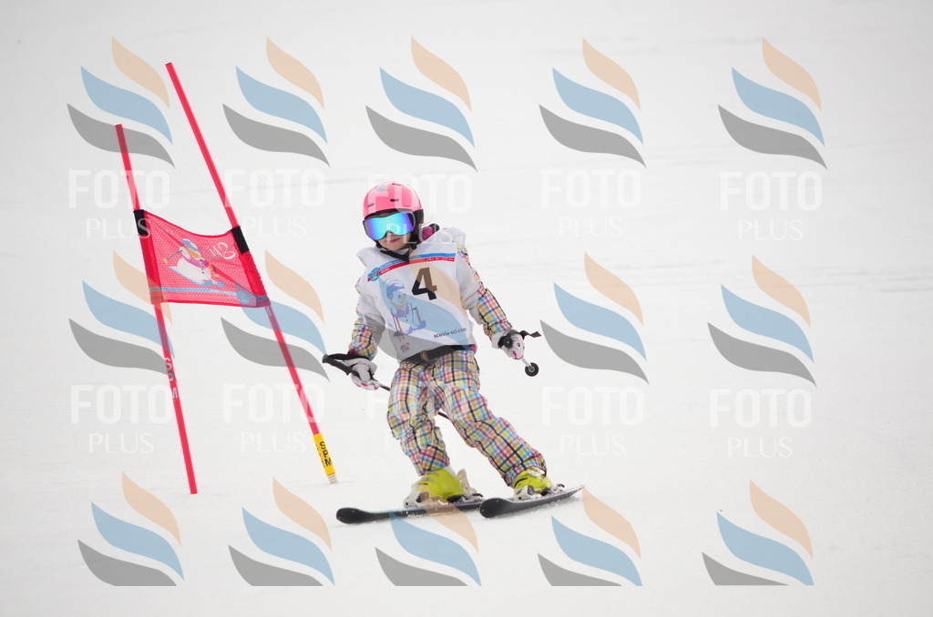 B9694 | holidayphoto