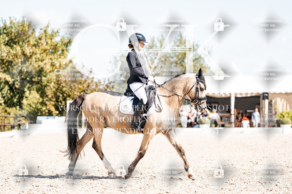 CK903825 | Turnierfotografie Pferdefotografie Trier Rheinland-Pfalz Pferdesport Reitsport Tierfotografie Sportfotografie Pferdevideo Pferdevideografie Equestrianvideography equestrianphotography  - Realisiert mit Pictrs.com