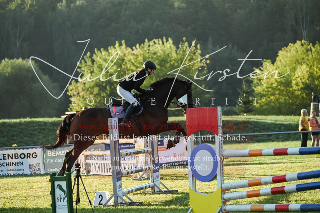 DSC_3777 | Pferde- und Turnierfotografie in Westsachsen. Pferdeportraits, Auftragszeichnungen und intuitive Kunst.