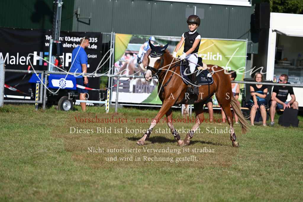 DSC_4948 | Pferde- und Turnierfotografie in Westsachsen. Pferdeportraits, Auftragszeichnungen und intuitive Kunst.