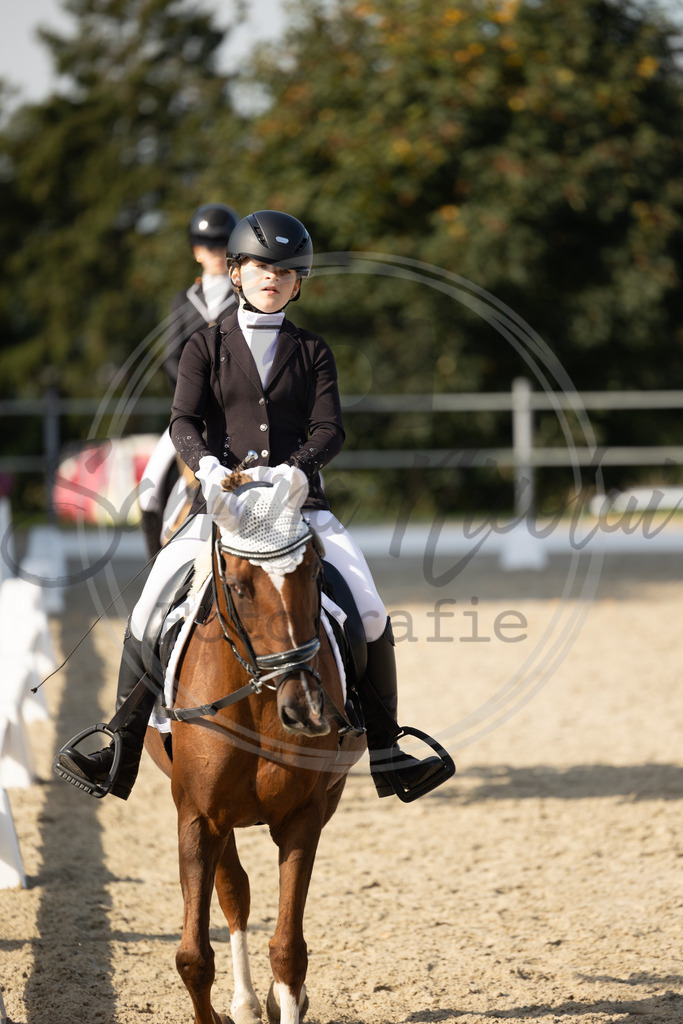 994A1594 | sabrinanicolaifotografie - Realisiert mit Pictrs.com