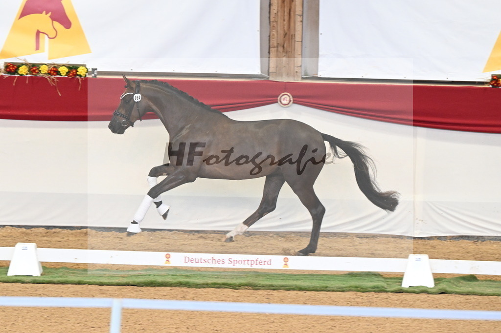 Kat.-Nr. 54 v. Feliciano_Rupp_3260563 | hf-fotografie - Realisiert mit Pictrs.com