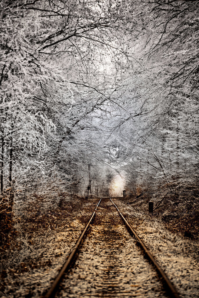 Schienen nach Nirgendwo | People- und Tierfotografie, Imageaufnahmen, Veranstaltungsfotografie und Wandbilder aus der Natur ★ Made in Germany ✔️ Druck + Downloads ✔️ Naturfotografie in Top Qualität ★ schneller Versand, weltweite Lieferung! - Realisiert mit Pictrs.com